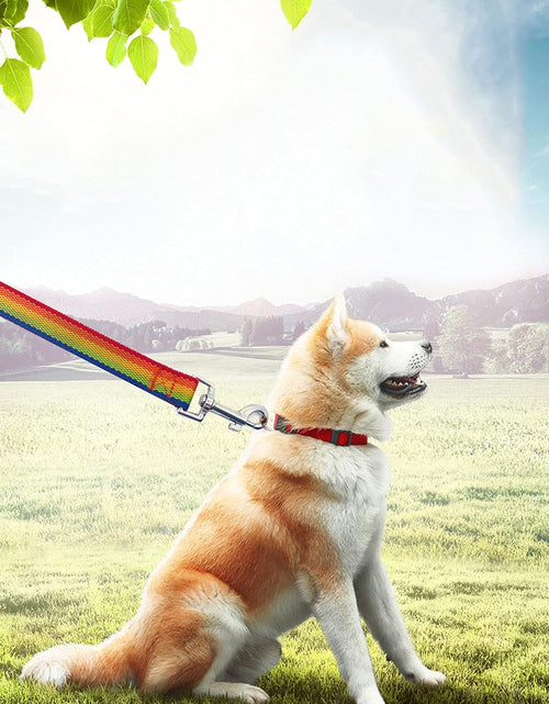 Load image into Gallery viewer, 15Ft 20Ft 30Ft 40Ft 50Ft Long Dog/Puppy Lead Obedience Recall Training Dog Leashes for Small Medium Dogs Camping, Training, Play, or Backyard
