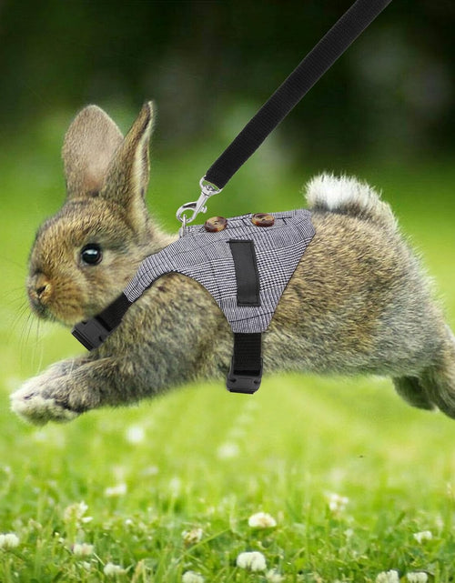 Load image into Gallery viewer, Rabbit Vest Harness and Leash Set Adjustable Formal Suit Style for Bunny Kitten Small Animal Walking (S)

